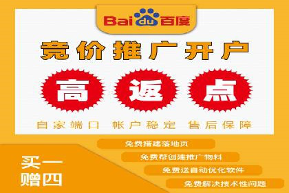 成功SEM服务案例分析报告